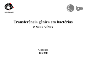 Transferência gênica em bactérias e seus vírus