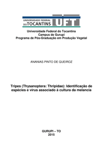 Tripes (Thysanoptera: Thripidae): Identificação de espécies e