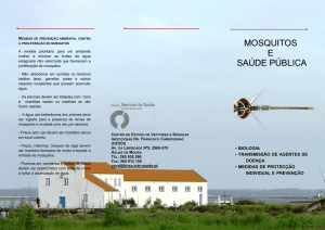 mosquitos e saúde pública - Município de Campo Maior