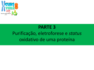 PARTE 3 Purificação, eletroforese e status oxidativo de uma