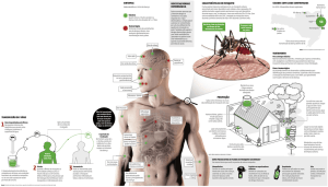 riscos da dengue hemorrágica sintomas prevenção tratamento