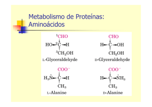 Metabolismo de Proteínas: Aminoácidos