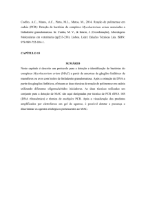 Coelho, A.C., Matos, A.C., Pinto, M.L., Matos, M., 2014. Reação de