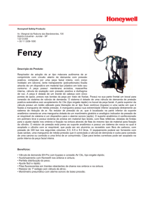 ficha técnica Fenzy - 2013