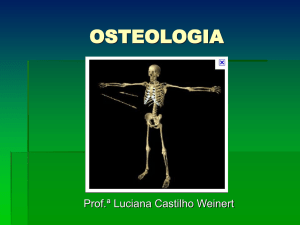 Osteologia MMSS