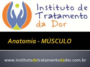 MÚSCULO - Instituto de Tratamento da Dor