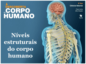 Níveis estruturais do corpo humano