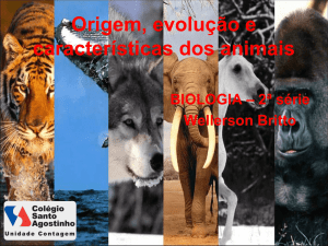 Origem, evolução e características dos animais