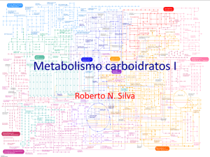 Metabolismo carboidratos I