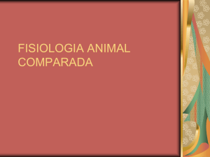 fisiologia animal comparada