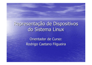 Representação de Dispositivos do Sistema Linux