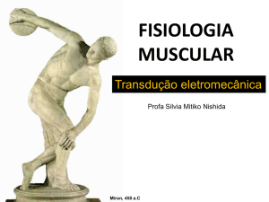 fisiologia muscular - IBB