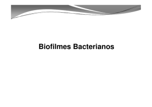 Biofilmes bacterianos [Modo de Compatibilidade].