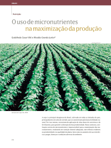 O uso de micronutrientes na maximização da produção - Esalq
