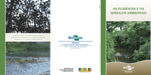 as florestas e os serviços ambientais - Ainfo