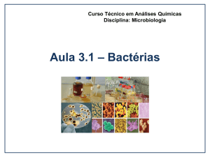 Aula 3.1 Bacterias Características e reprodução