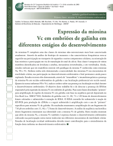 Expressão da miosina Vc em embriões de galinha em diferentes