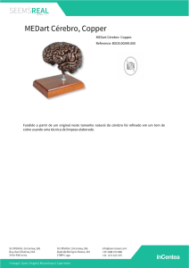 MEDart Cérebro, Copper