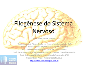 Filogênese do Sistema Nervoso