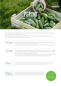 pepino - So Natural