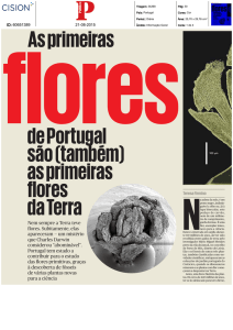 As primeiras de Portugal são (também) as primeiras flores da