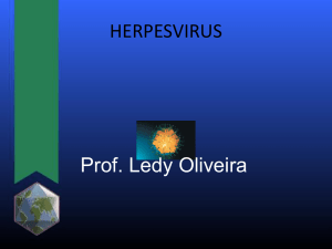 HERPESVIRUS Prof. Ledy Oliveira