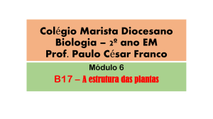 B17 A Estrutura das plantas1179 KBAbril 23, 2015 18:47:21
