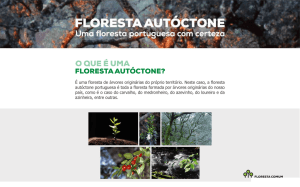 Brochura do Floresta Comum sobre as vantagens da floresta