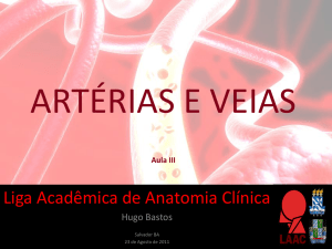 artérias e veias - laac-anatomia.webnode.com.br