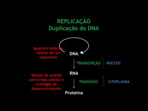 REPLICAÇÃO Duplicação do DNA