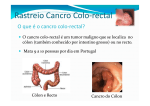 Rastreio Cancro Colon Rectal