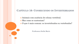 CAPÍTULO 10- CONHECENDO OS INVERTEBRADOS Animais com