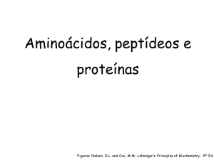 Aminoácidos, peptídeos e proteínas