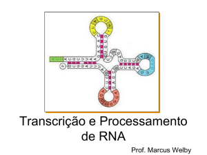 DNA RNA Proteína Dogma da Biologia Molecular