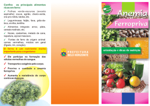 ab_folder anemia ferropriva.cdr