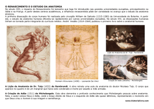 Renascimento: Os Avanços nos Estudos de Anatomia