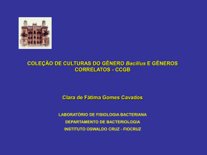 Coleção de Culturas do Gênero Bacillus e Gêneros Correlatos do