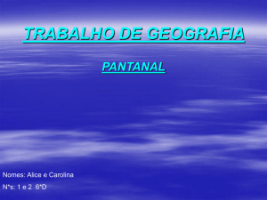 trabalho de geografia pantanal