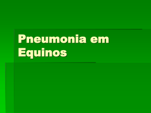 Pneumonia em Equinos