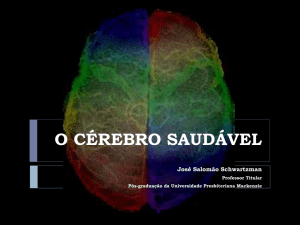 cerebro_saudavel - José Salomão Schwartzman