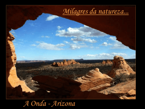 Arizona-A onda - Recanto das Letras