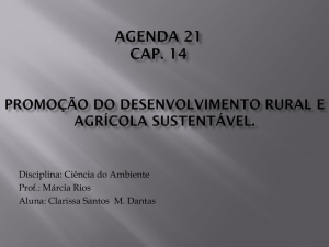 Promoção do Desenvolvimento rural e agrícola