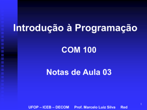 UFOP – ICEB – DECOM Prof. Marcelo Luiz Silva Red - ICEB-UFOP