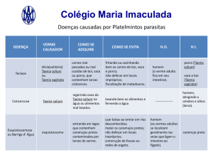 Slide 1 - Colégio Maria Imaculada