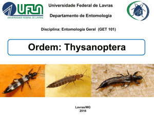 Slide 1 - Departamento de Entomologia