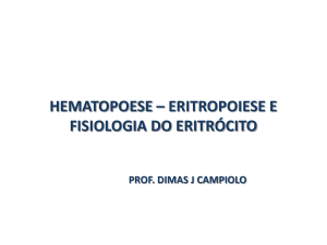 Hematopoese