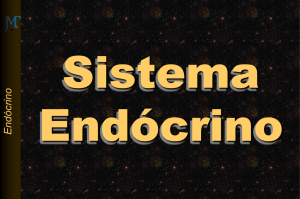 Endócrino