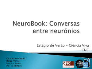 NeuroBook:Conversas entre neurónios