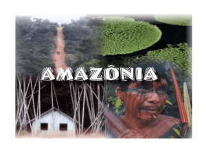 Amazônia Legal Amazônia Internacional