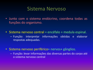 sistema-nervosa-e-sentidos